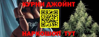 гидра Малгобек