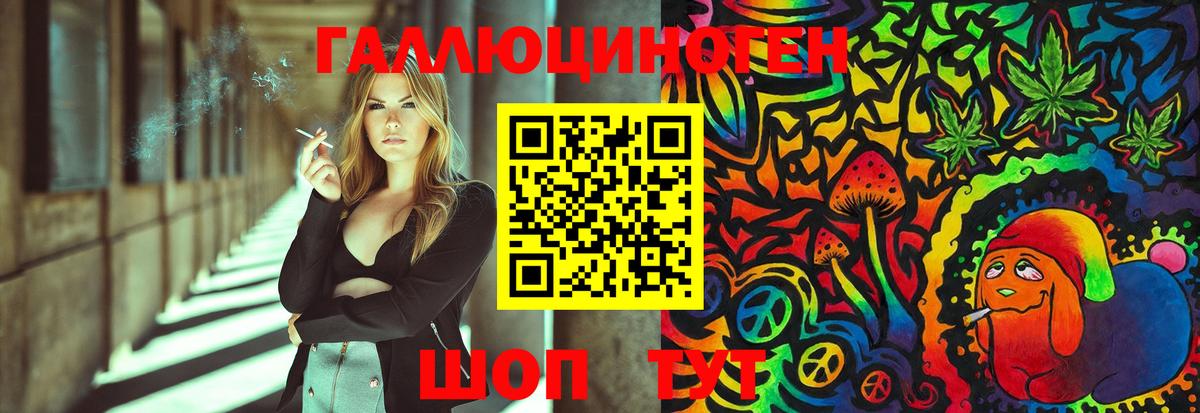 Псилоцибиновые грибы Psilocybe Выборг