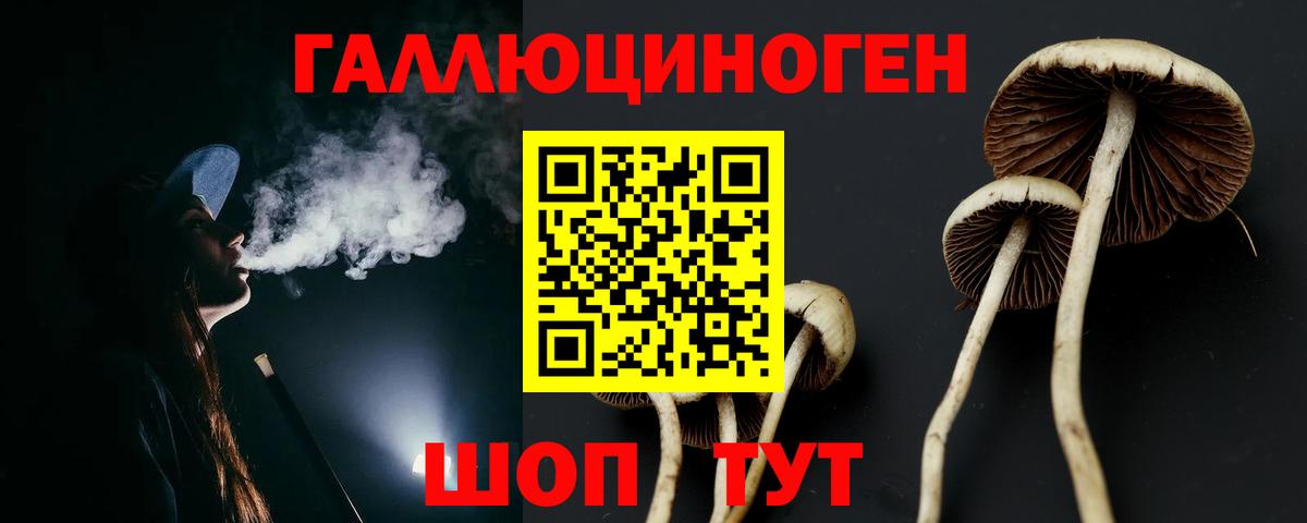 Выборг  Галлюциногенные грибы прущие грибы  Вход с VPN  Псилоцибиновые грибы Psilocybe 